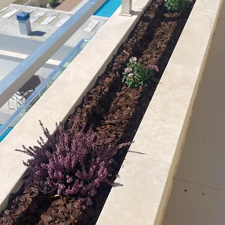 לינה וארוחת בוקר Wellnesshouse