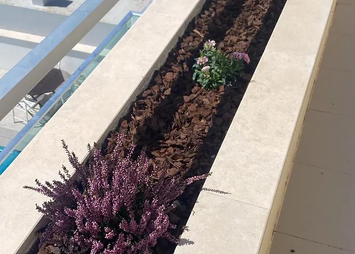 ベッド・アンド・ブレックファスト Wellnesshouse